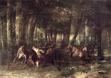 Kevät, taistelevat uroshirvet, 1861